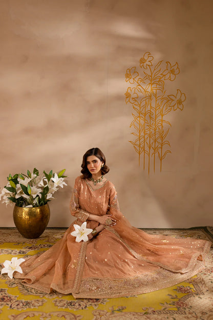 Pink Pakistani Formal Dress online in USA