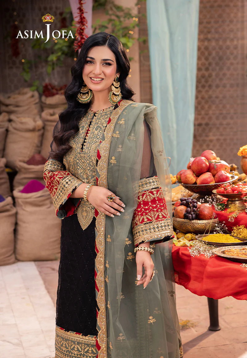 Black Pakistani Salwar Suit